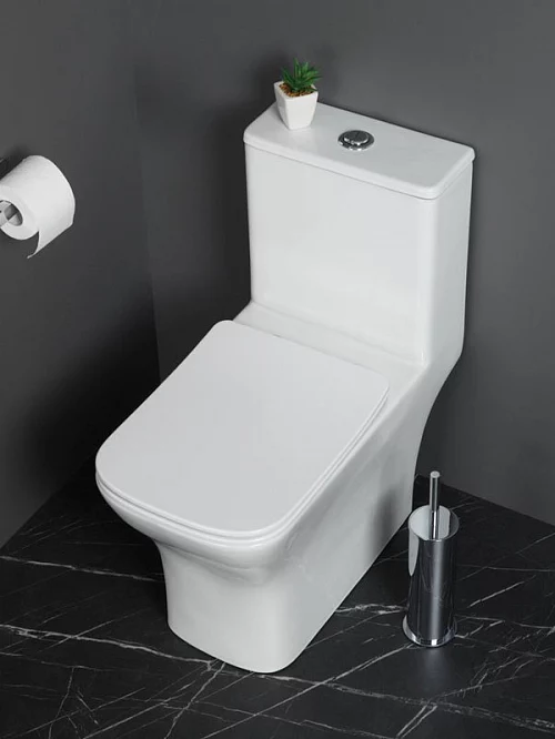 Фото Унитаз моноблок BelBagno Neon BB8617CPR-MN/SC безободковый купить в Якутске: цена, описание, фото. Интернет-магазин 1